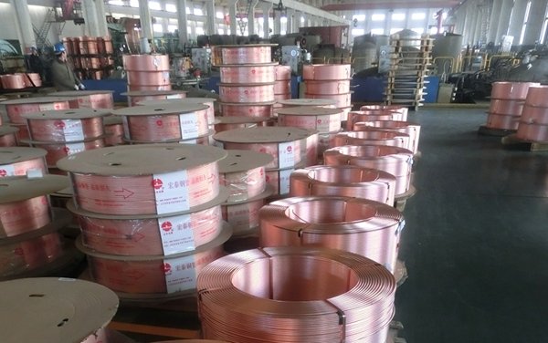 NG28-不凡成就非凡,相信品牌的力量