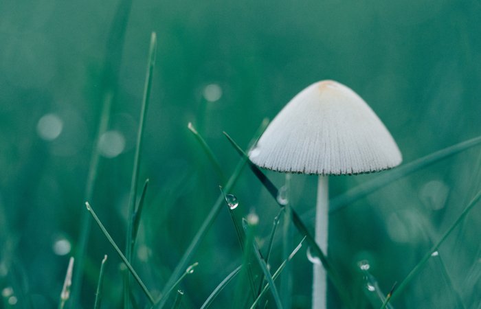 NG28-不凡成就非凡,相信品牌的力量